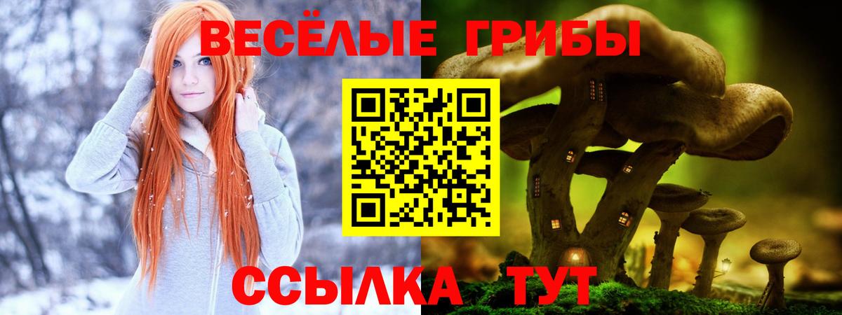 Галлюциногенные грибы Cubensis Черкесск